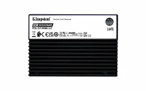 Kingston Technology DC3000ME