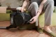 Hoover HP105HM 011 #8