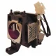 Benq Projector Lamp
