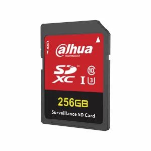 Dahua Technology SD-H100-256GB