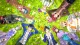 Nintendo Tokyo Mirage Sessions #FE Encore #7