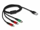 DeLOCK 86821 #2