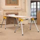 DeWALT DWS780 #16