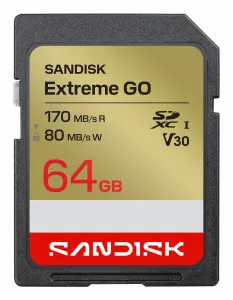 Sandisk Extreme GO