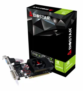 Biostar VN7313THX1