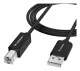 Wozinsky WKDDY4S