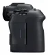 Canon EOS R6 Mark II #4