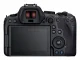 Canon EOS R6 Mark II + RF 24-105mm F4 L IS USM #5