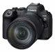 Canon EOS R6 Mark II + RF 24-105mm F4 L IS USM #3