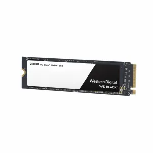 Western Digital WDS250G2X0C