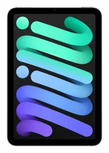 Apple mini (7th generation) iPad mini