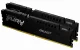 Kingston Technology FURY Beast #1