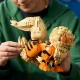 Lego Arcanine #6