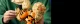 Lego Arcanine #5