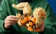 Lego Arcanine #7
