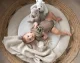 Baby's Only BO-860.862.125.50 #8