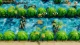 Nintendo The Legend of Zelda: Link's Awakening, Switch #8