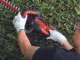 Einhell GC-CH 1846 Li Kit #4