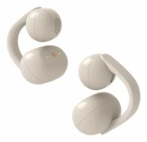 Sony U.K. WFLC900C.CE7