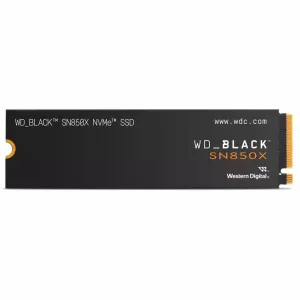 Western Digital WDS100T2X0E