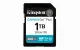 Kingston Technology Canvas Go! Plus