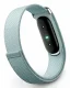Google Fitbit Air, Fog, EU #3