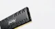 Kingston Technology FURY Renegade #8