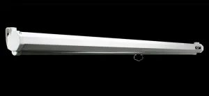 Elite Screens M85XWS1
