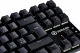 Voxicon Gr8-10 #4