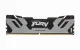 Kingston Technology FURY Renegade #3