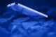 Cellular Line 8018080491504 #5