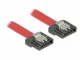 DeLOCK 1m SATA III