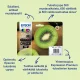Epson Kiwi 202XL #1