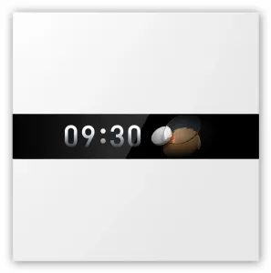Aqara Display Switch V1