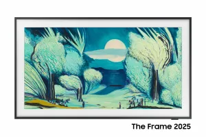 Samsung The Frame TQ50LS03FAU