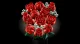 Lego Botanicals Bouquet of Roses #3