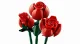 Lego Botanicals Bouquet of Roses #4
