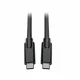 Tripp Lite U420-010