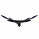 ASUS ROG Swift OLED PG39WCDM #5
