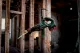 Metabo SSEP 18 LT BL #5