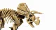 Lego Jurassic World 77985 #4