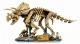 Lego Jurassic World 77985 #3