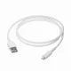 Dbramante1928 CB10MAWH7182