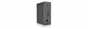 RaidSonic IB-DK2262AC
