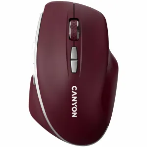 Canyon MW-21
