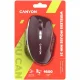 Canyon MW-21 #6