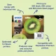 Epson Kiwi 202 #2