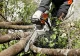 Stihl MS 261 C-M #3