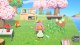 Nintendo Animal Crossing: New Horizons #13