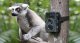 Technaxx Nature Wild Cam TX-69 #6